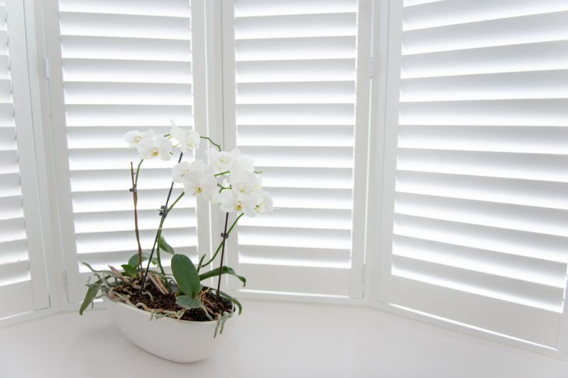 Window Shutters Replacement in Denver, CO
